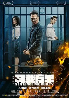 判我有罪2015 海报