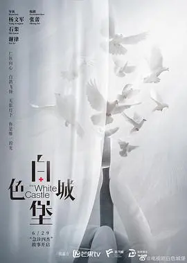 《白色城堡》：医疗剧巅峰之作，揭露医者仁心与体制困境