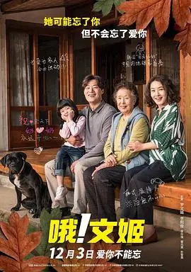 哦！文姬 海报