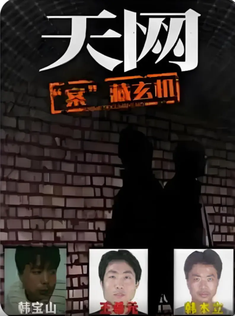 《天网：“案”藏玄机》：揭秘犯罪背后的真相，正义与邪恶的终极较量即将上演！